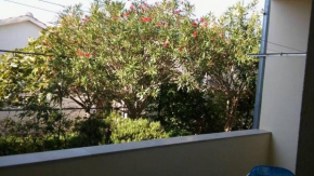 Отель Apartment Petrcane 12741a  Петркане